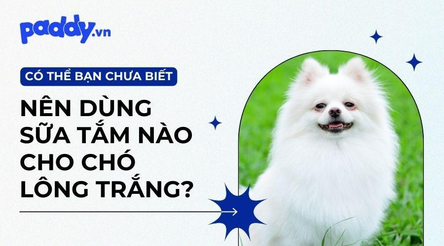 Giải Mã Giấc Mơ Thấy Mua Vải May Đồ Và Những Con Số Liên Quan