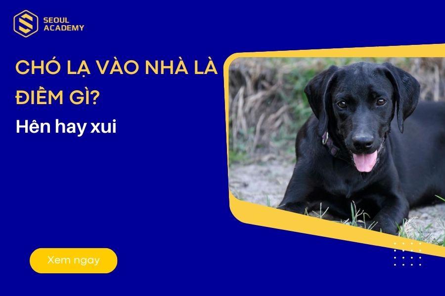 Giải Mã Giấc Mơ Thấy Học Sinh Và Con Số May Mắn