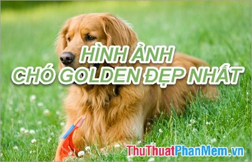Giải Mã Giấc Mơ Thấy Các Vị La Hán Và Số Đề