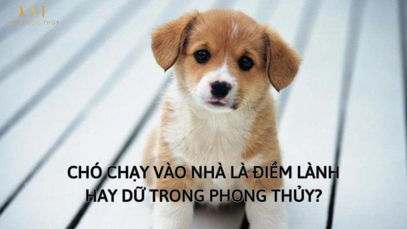 Nằm Mơ Thấy Câu Được Cá To: Điềm Báo Gì Về Số Đề?