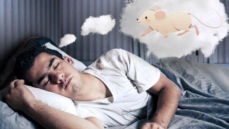 Bà Bầu Nằm Mơ Thấy Rắn Cắn: Giải Mã & Số Đề