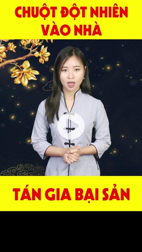 Chuột Cắn Quần Áo Trong Mơ