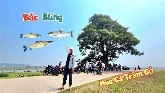 Chuột con mới đẻ màu trắng