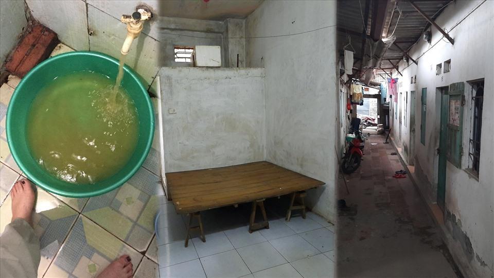 Nằm Mơ Thấy Bò Cạp Đánh Số Mấy? Giải Mã Chi Tiết