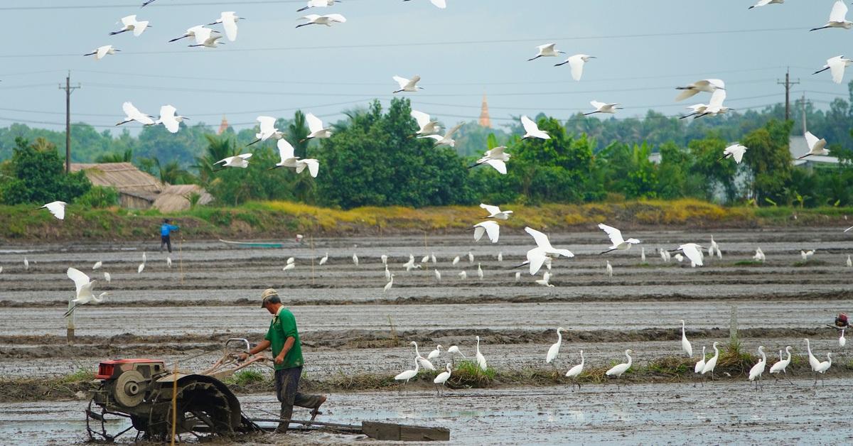 Giải Mã Giấc Mơ Thấy Bạn Bè Cũ Và Con Số May Mắn