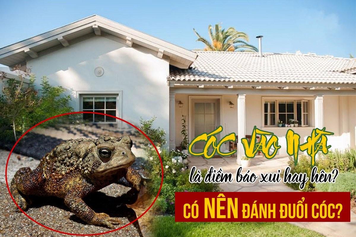 Nằm Mơ Thấy Đi Cầu Qua Sông Đánh Con Gì?