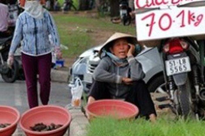 Nằm Mơ Thấy Mình Khóc Nức Nở Đánh Con Gì?