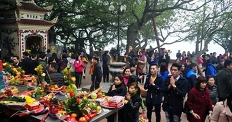 Giải Mã Giấc Mơ Thấy Hái Trái Roi và Số Đề Liên Quan