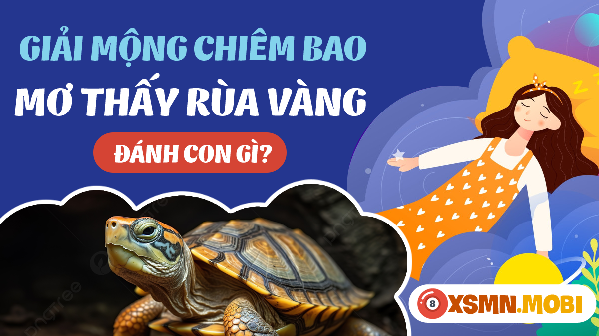 Cưỡi rùa vàng trong mơ