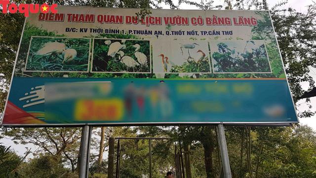Nằm Mơ Thấy Bắt Cá Đen Đánh Con Gì?