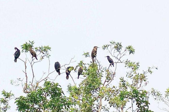 Nằm Mơ Thấy Lửa Cháy Đánh Đề Con Gì? Giải Mã Chi Tiết