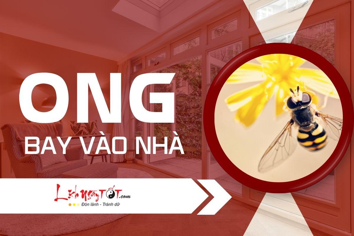 Nằm Mơ Thấy Quả Bí Xanh Đánh Đề Con Gì?