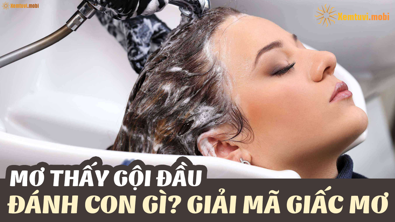 Đánh con gì khi mơ thấy gội đầu bị rụng tóc?