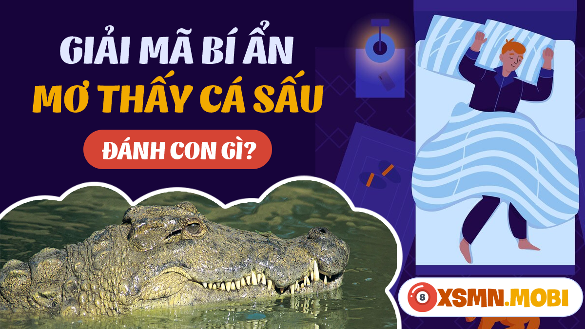Nằm Mơ Thấy Crush Hôn Mình: Giải Mã Và Số Đề Liên Quan