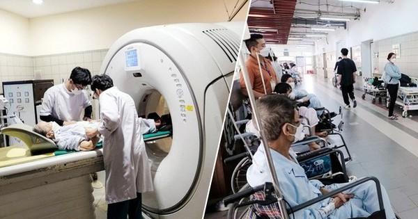 Giải Mã Giấc Mơ Thấy Mèo Cắn Nhau Và Con Số May Mắn