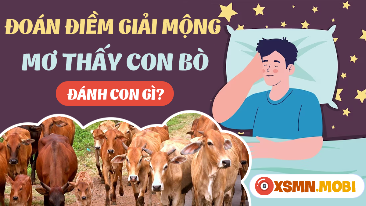 Giải Mã Giấc Mơ Thấy Mình Ngồi Trong Lớp Học