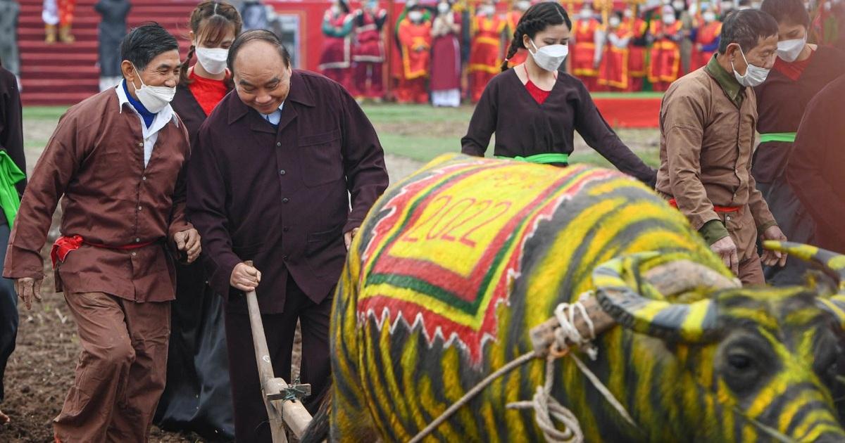 Dắt trâu đi cày ruộng