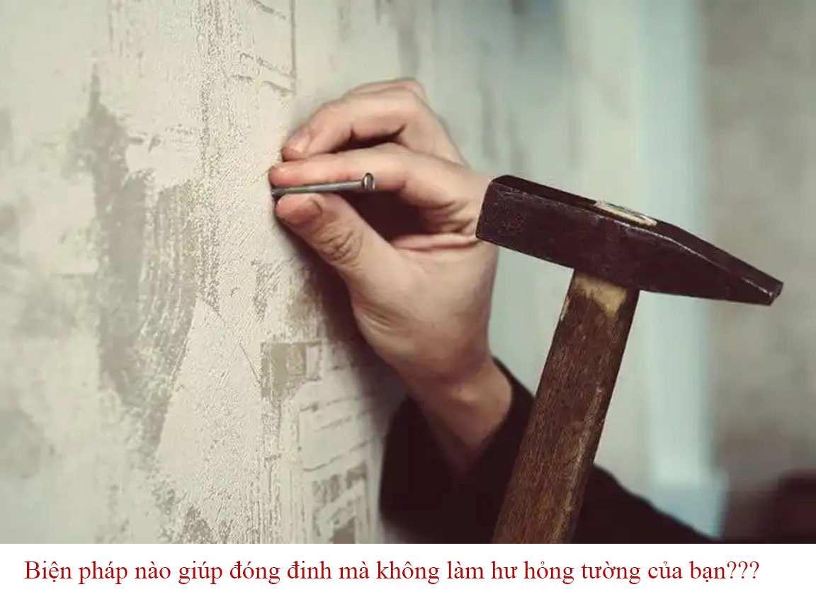 Giải Mã Giấc Mơ Thấy Mèo Chạy Vào Nhà Và Số Đề Liên Quan