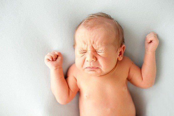 Giải Mã Giấc Mơ Thấy Đàn Gà Con Và Những Con Số May Mắn