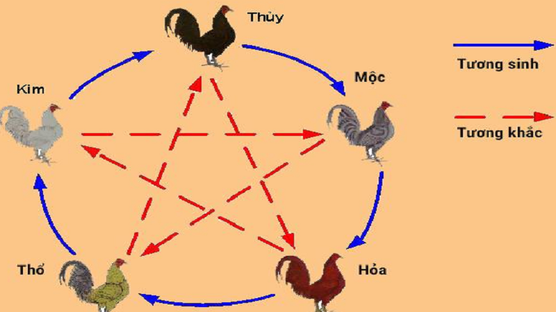 Nằm Mơ Thấy Bắt Cá Lóc Đánh Số Mấy?