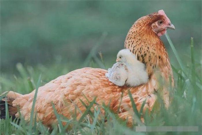Giải Mã Giấc Mơ Suýt Bị Tàu Đâm Và Những Con Số Liên Quan