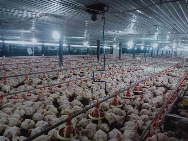 Giải Mã Giấc Mơ Thấy Trang Sức Bằng Bạc Và Số Đề Liên Quan