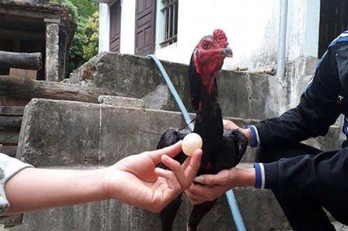 Giải Mã Giấc Mơ Thấy Bố Mẹ Ly Hôn Và Số Đề Liên Quan