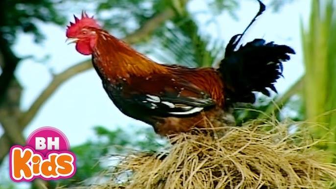 Bà Bầu Nằm Mơ Thấy Người Chết: Giải Mã Số Đề