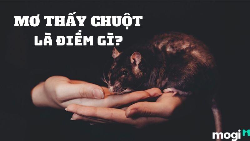 Giải Mã Giấc Mơ Thấy Chạy Trốn Và Những Con Số May Mắn