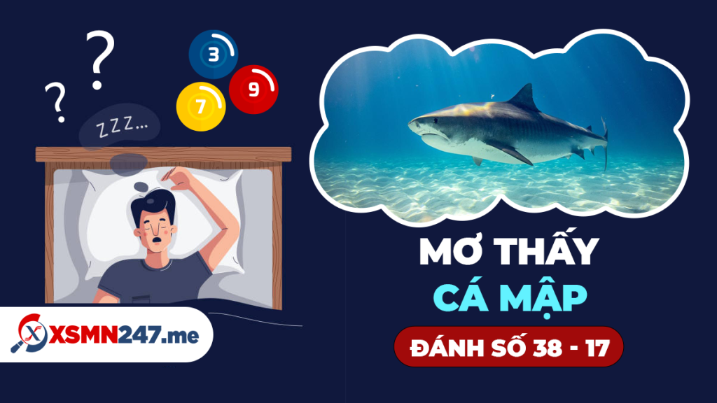 Giải mã giấc mơ bắt cá mập đánh con gì?