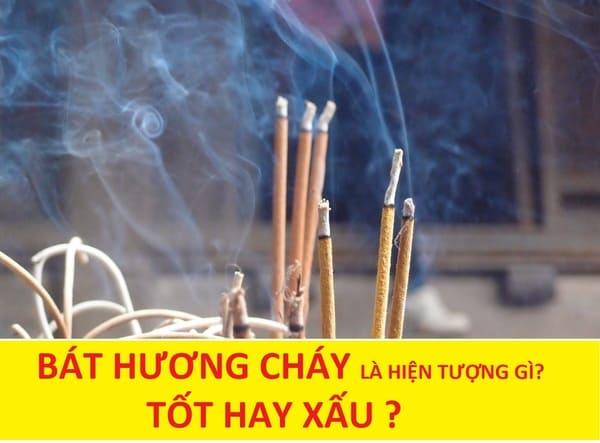 Giải Mã Giấc Mơ Thấy Mèo Cắn Nhau Và Con Số May Mắn