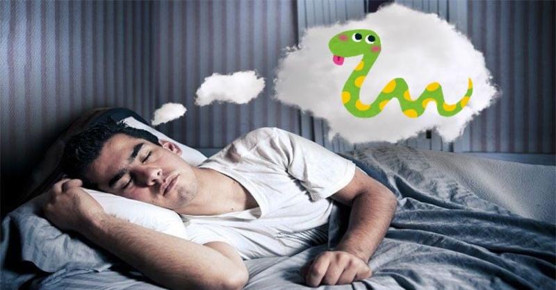 Giải Mã Giấc Mơ Thấy Gà Ác: Điềm Báo Và Số Đề Liên Quan