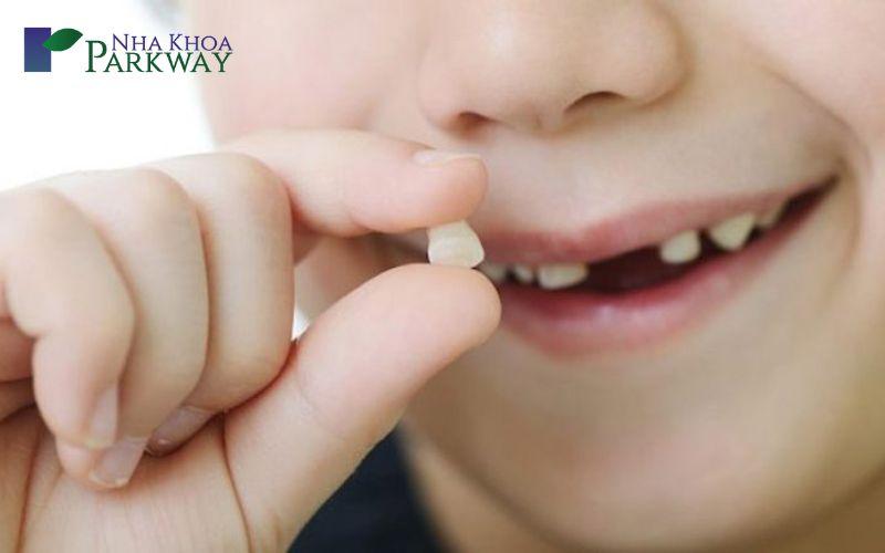 Giải Mã Giấc Mơ Thấy Máu Vịt Và Những Con Số May Mắn