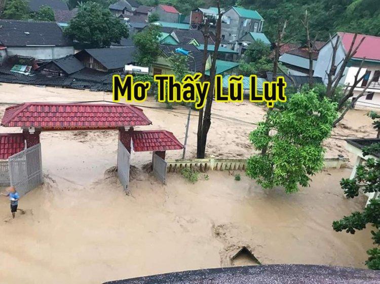 Giải mã giấc mơ bơi trong nước lũ