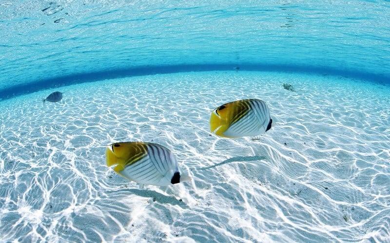 Giải Mã Giấc Mơ Mình: Điềm Báo Và Con Số May Mắn