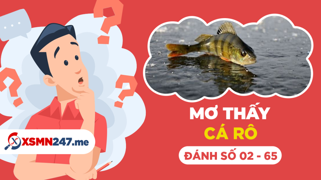 Giải Mã Giấc Mơ Thấy Bị Giật Túi Xách Và Những Con Số Liên Quan