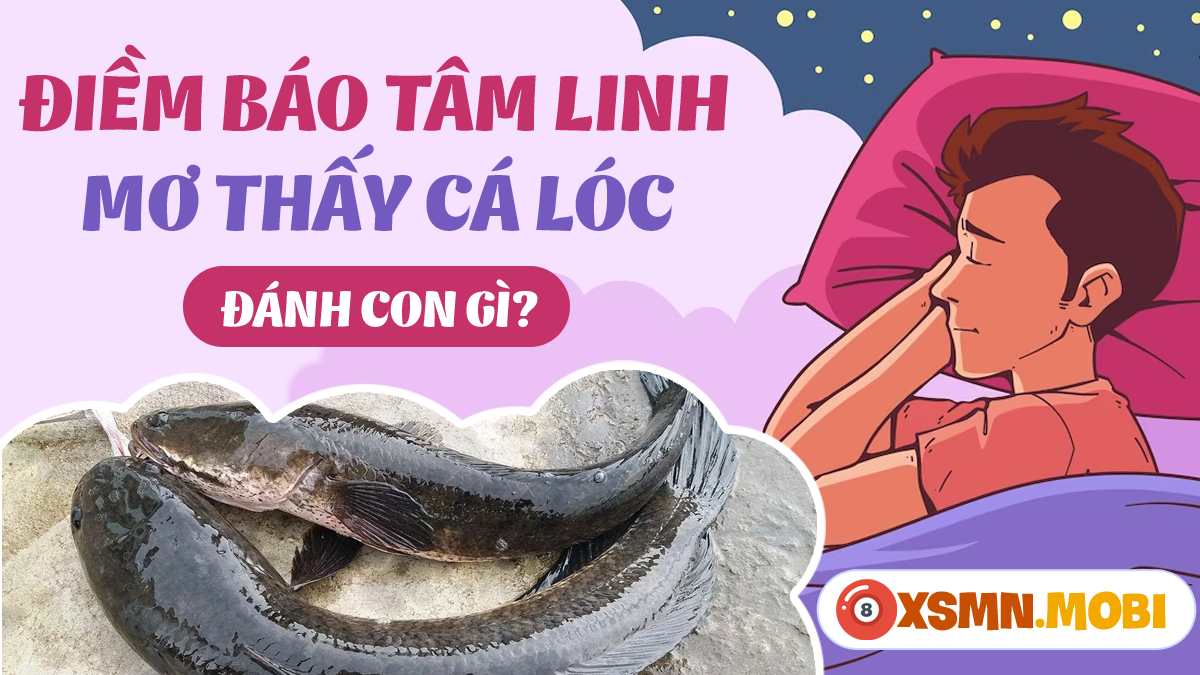 Giải Mã Giấc Mơ Thấy Cá Trích Và Những Con Số May Mắn