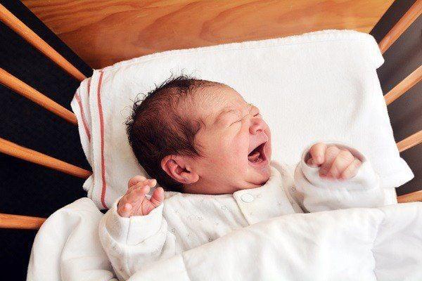 Giải Mã Giấc Mơ Thấy Cá Chết Và Con Số May Mắn