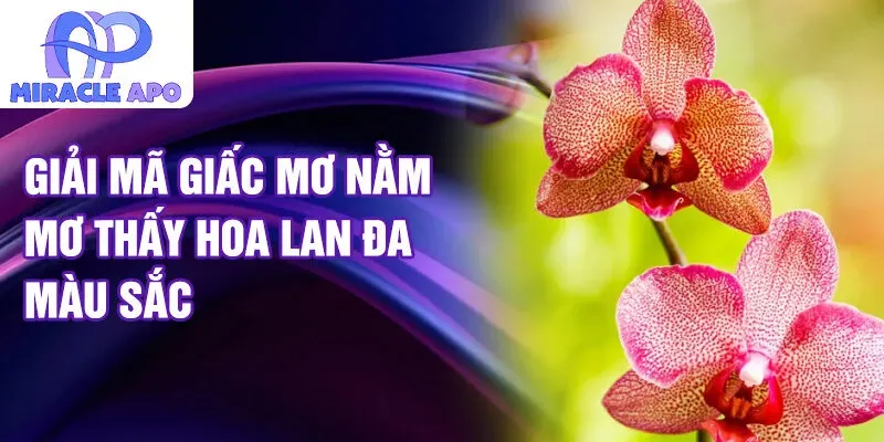 Giải Mã Giấc Mơ Câu Cá Trê Và Những Con Số May Mắn