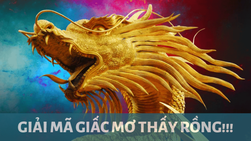 Nằm Mơ Thấy Bắt Cá Đánh Con Gì? Giải Mã Chi Tiết