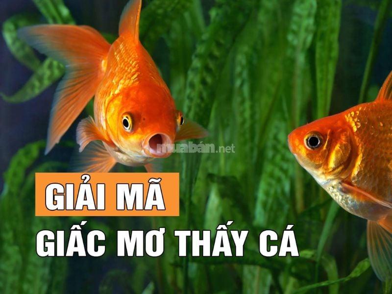 Nằm Mơ Thấy Bốc Mộ Là Điềm Gì? Giải Mã Và Con Số May Mắn