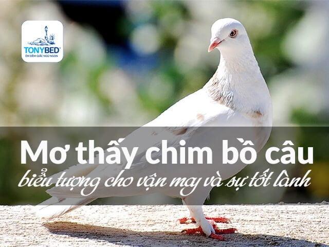 Nằm Mơ Thấy Cá Lóc Đánh Số Gì? Giải Mã Chi Tiết
