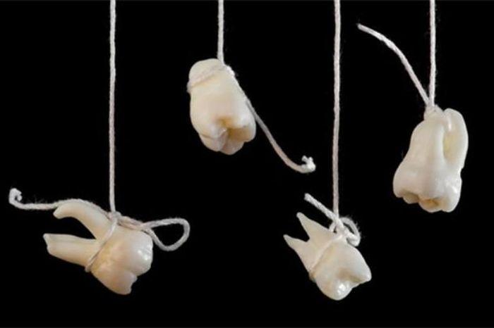 Giải Mã Giấc Mơ Thấy Cá Ông và Những Con Số May Mắn
