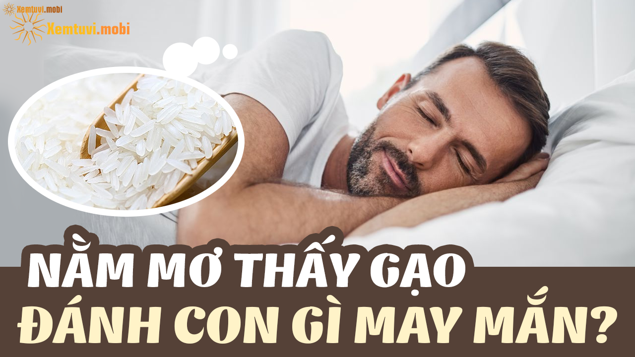 Giải Mã Giấc Mơ Thấy Đi Mua Cá Khô và Số Đề