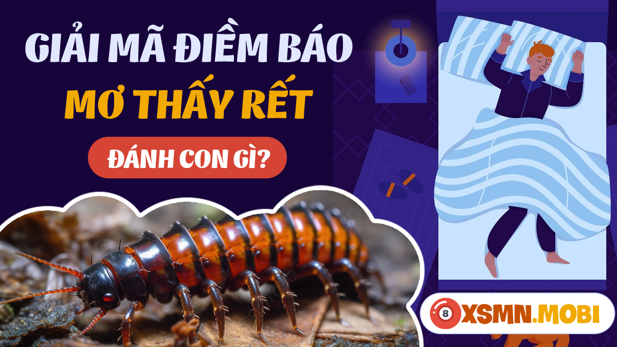 Giải mã giấc mơ thấy rit đánh con gì