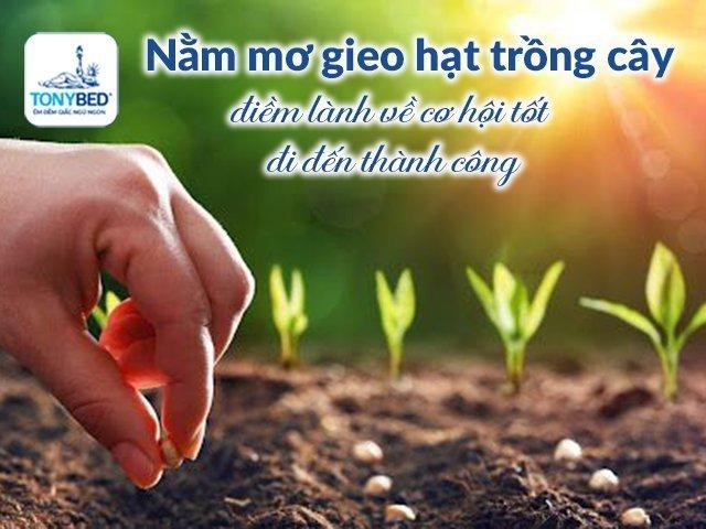 Giải Mã Giấc Mơ Thấy Cá Chết Và Con Số May Mắn