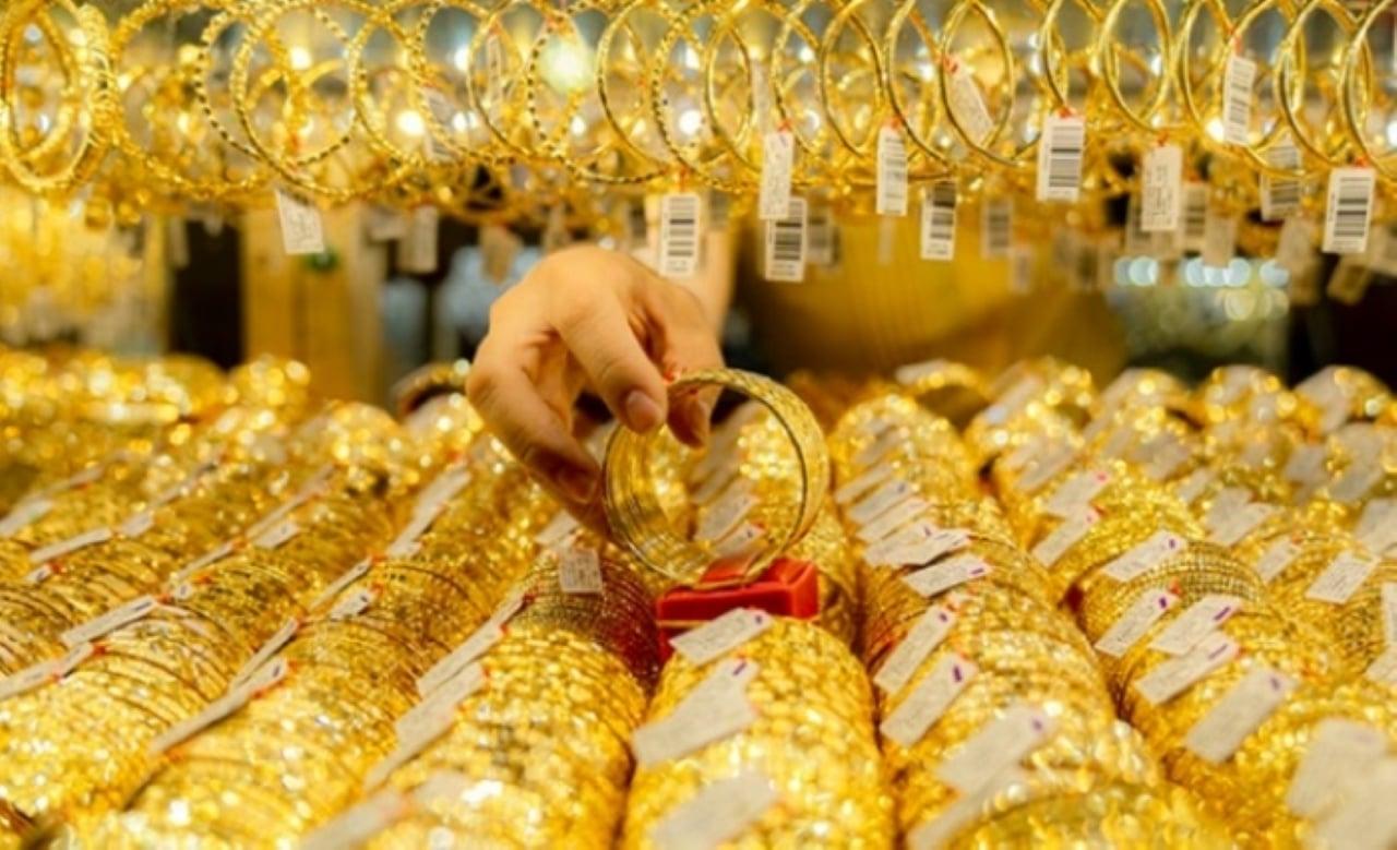 Giải Mã Giấc Mơ Thấy Cá Và Chó: Điềm Báo Gì Về Số Đề?