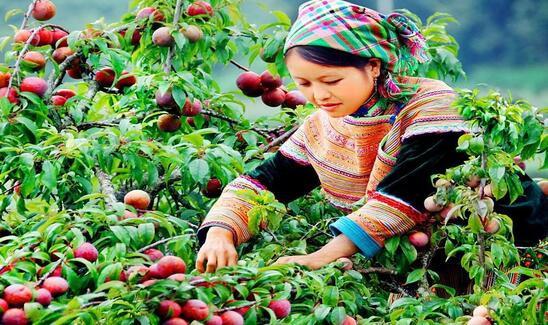 Nằm Mơ Thấy Người Chết Mượn Tiền Đánh Con Gì?