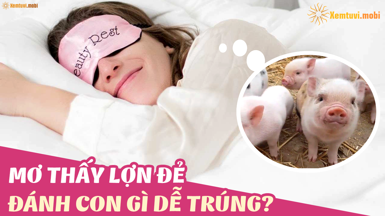 Giải Mã Giấc Mơ Thấy Cắm Hoa Và Những Con Số May Mắn