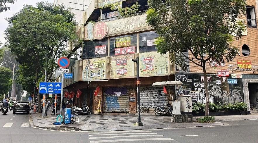Hổ vàng đang ngủ